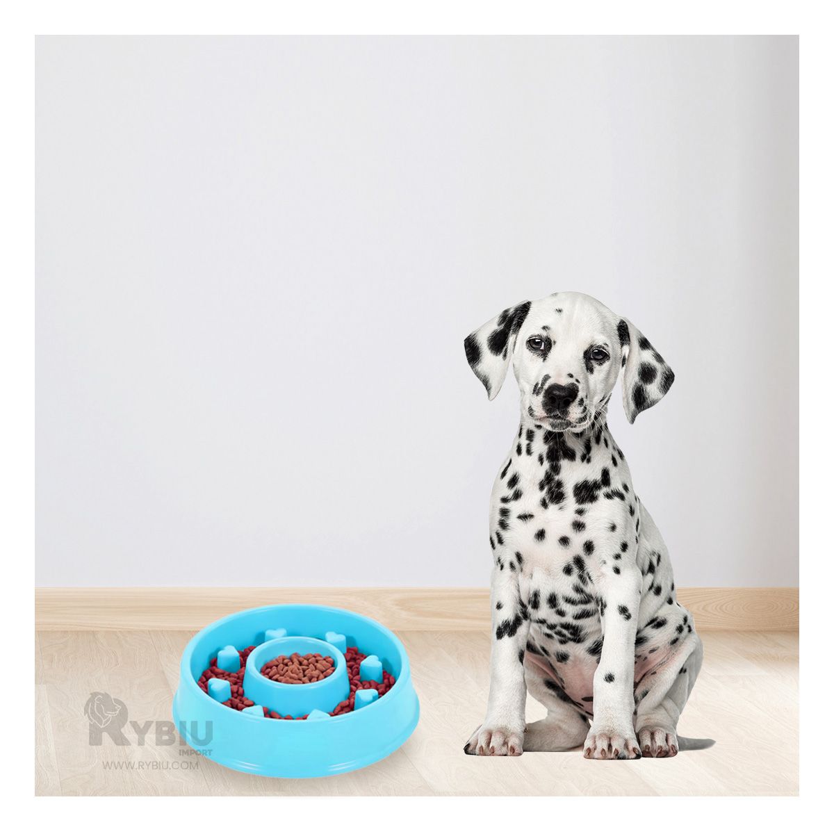 GENERICO - Plato Antiestres Circular para Mascotas en Color Celeste