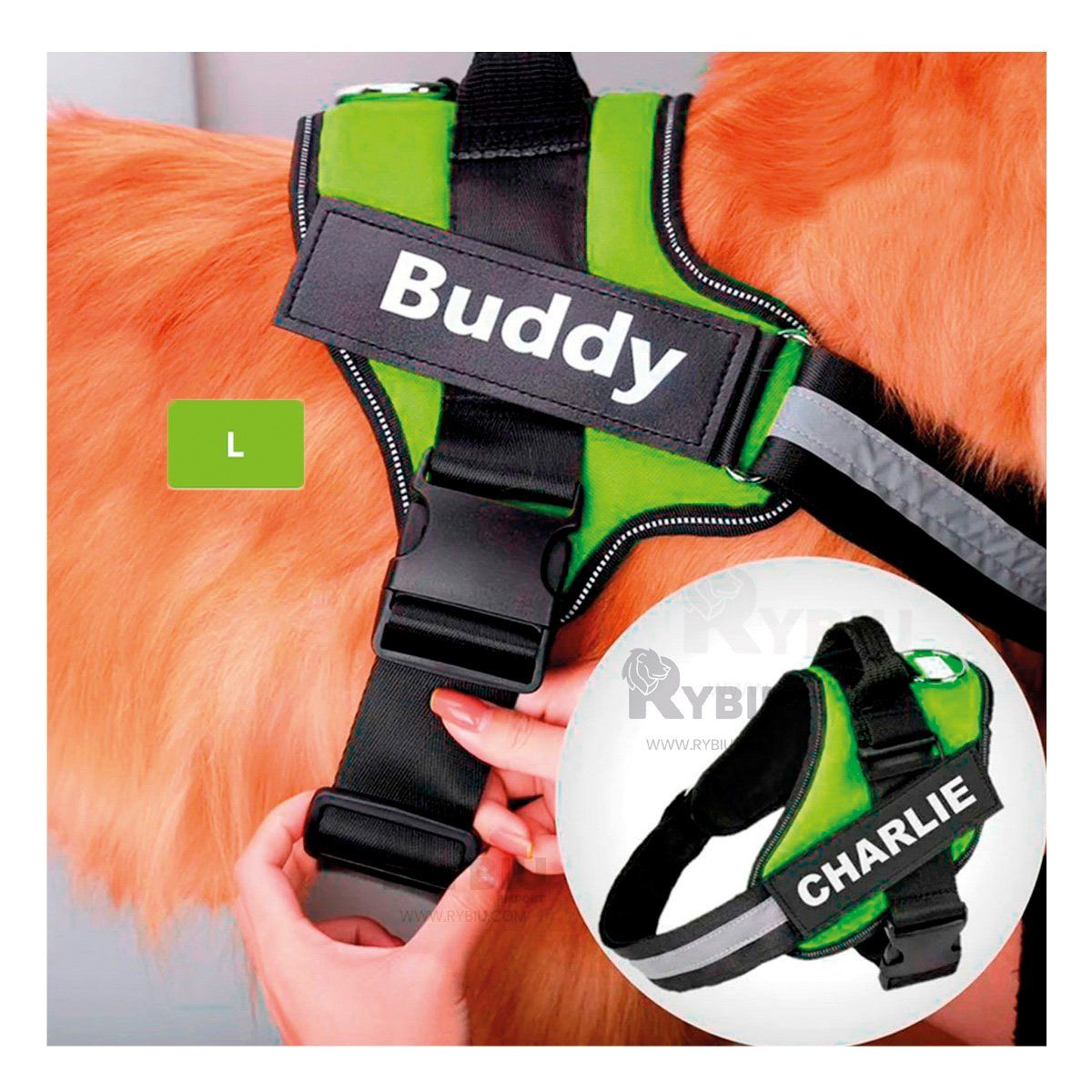 GENERICO - Arnes Resistente y Seguro en L Color Verde Y+Regalo Stickers