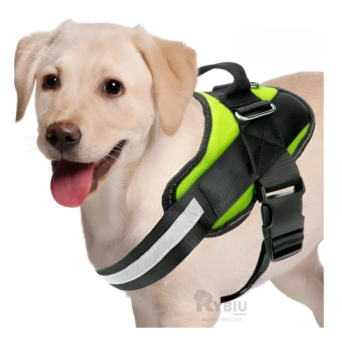 GENERICO - Pechera Acolchada L de Color Verde Y+Banderitas Adhesivas