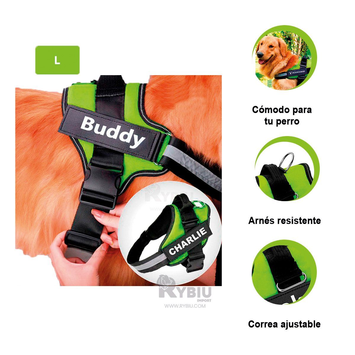 GENERICO - Pechera Acolchada L de Color Verde Y+Banderitas Adhesivas