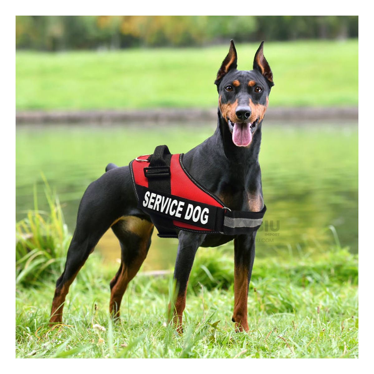 GENERICO - Arnes Pechera Service Dog Talla L Duradero en Color Rojo