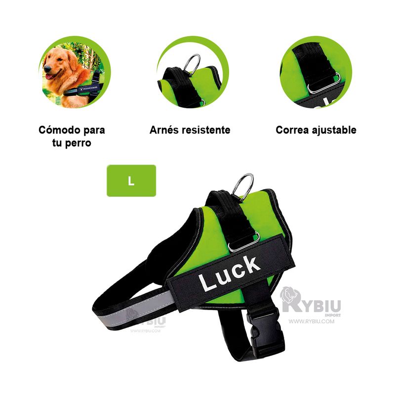 GENERICO - Correa Segura para Mascotas L Color Verde Y+Gift MiniAgenda