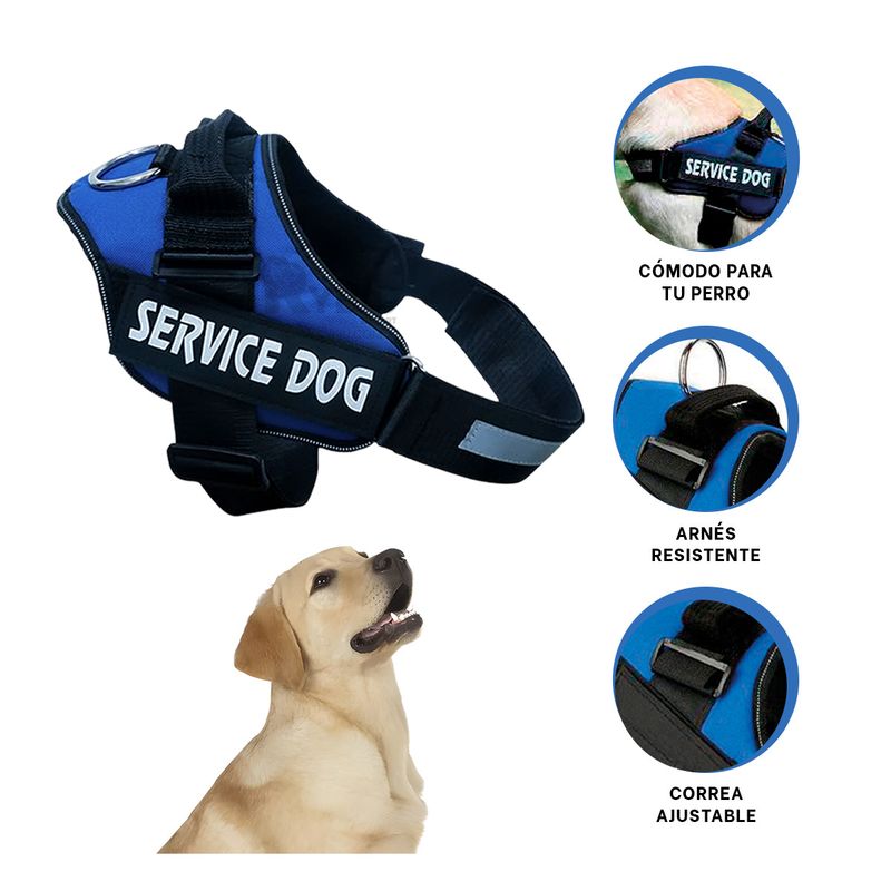 GENERICO - Pechera Perfecta para Perros en Tono Azul Y+Gift MiniAgenda