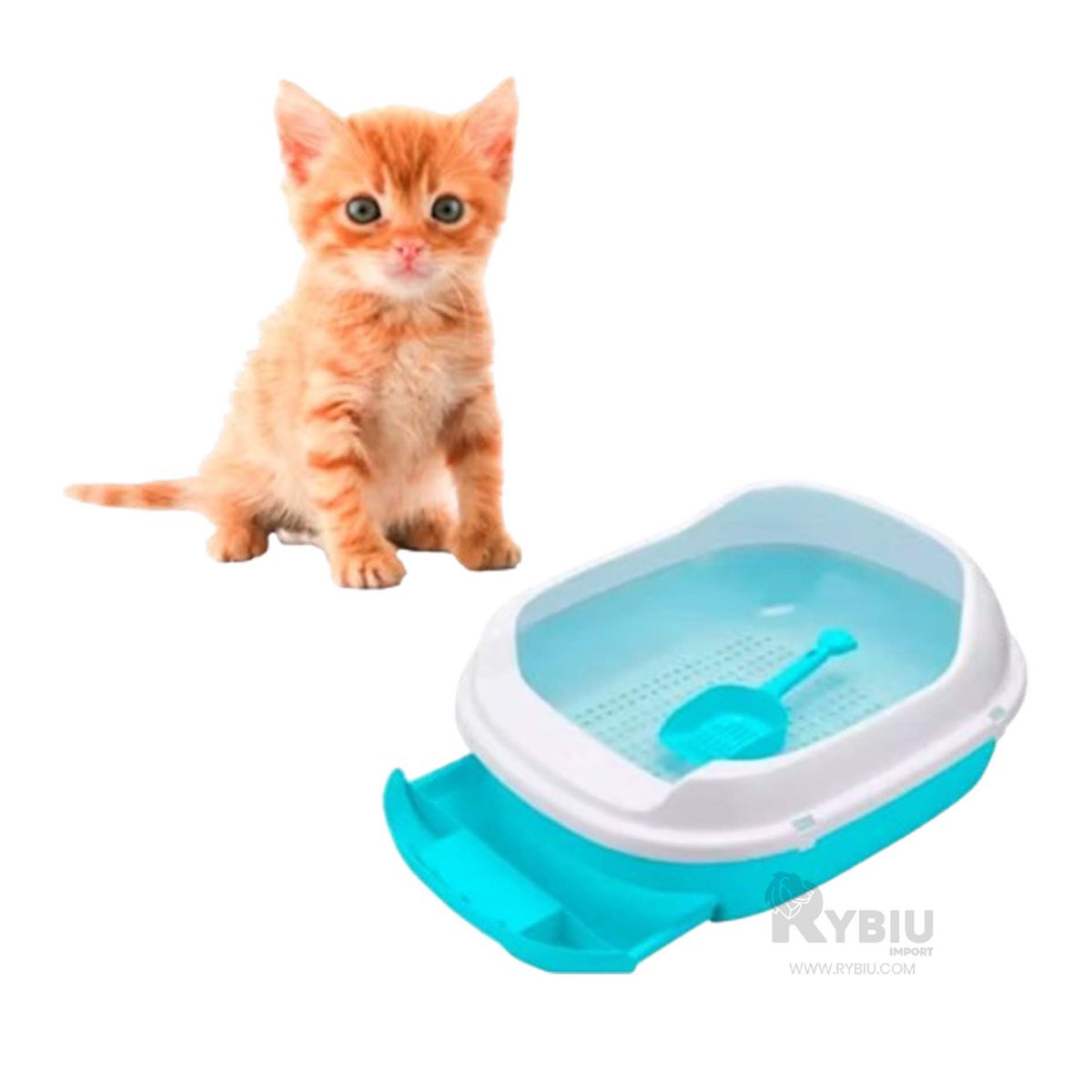 GENERICO - Recipiente Multiple para Gato Celeste Y+Ligas de Regalo