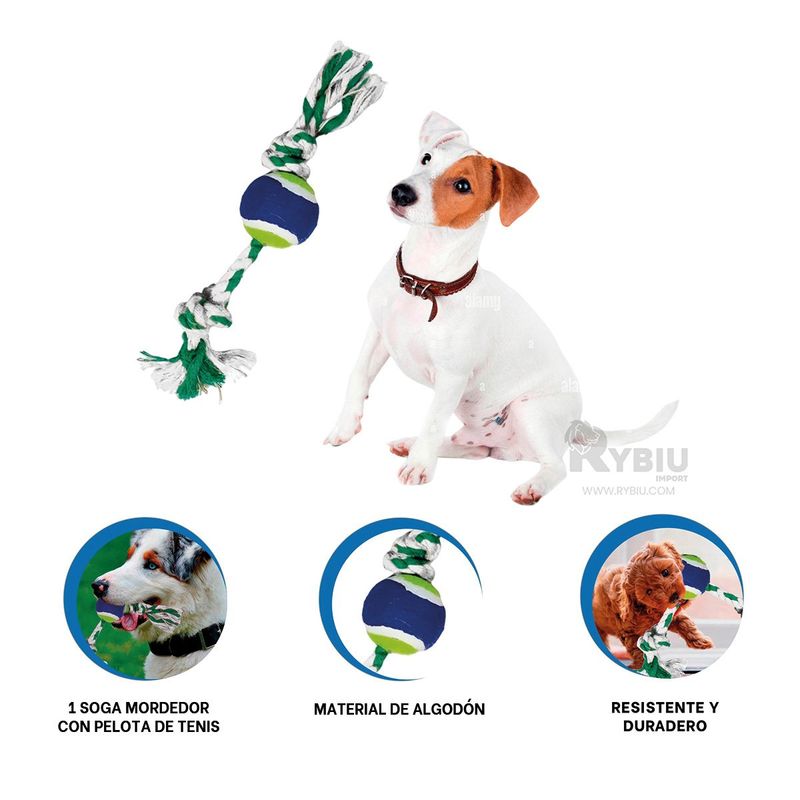 GENERICO - Juguete para Limpieza Dental de Perro Multicolor Y+Agendita