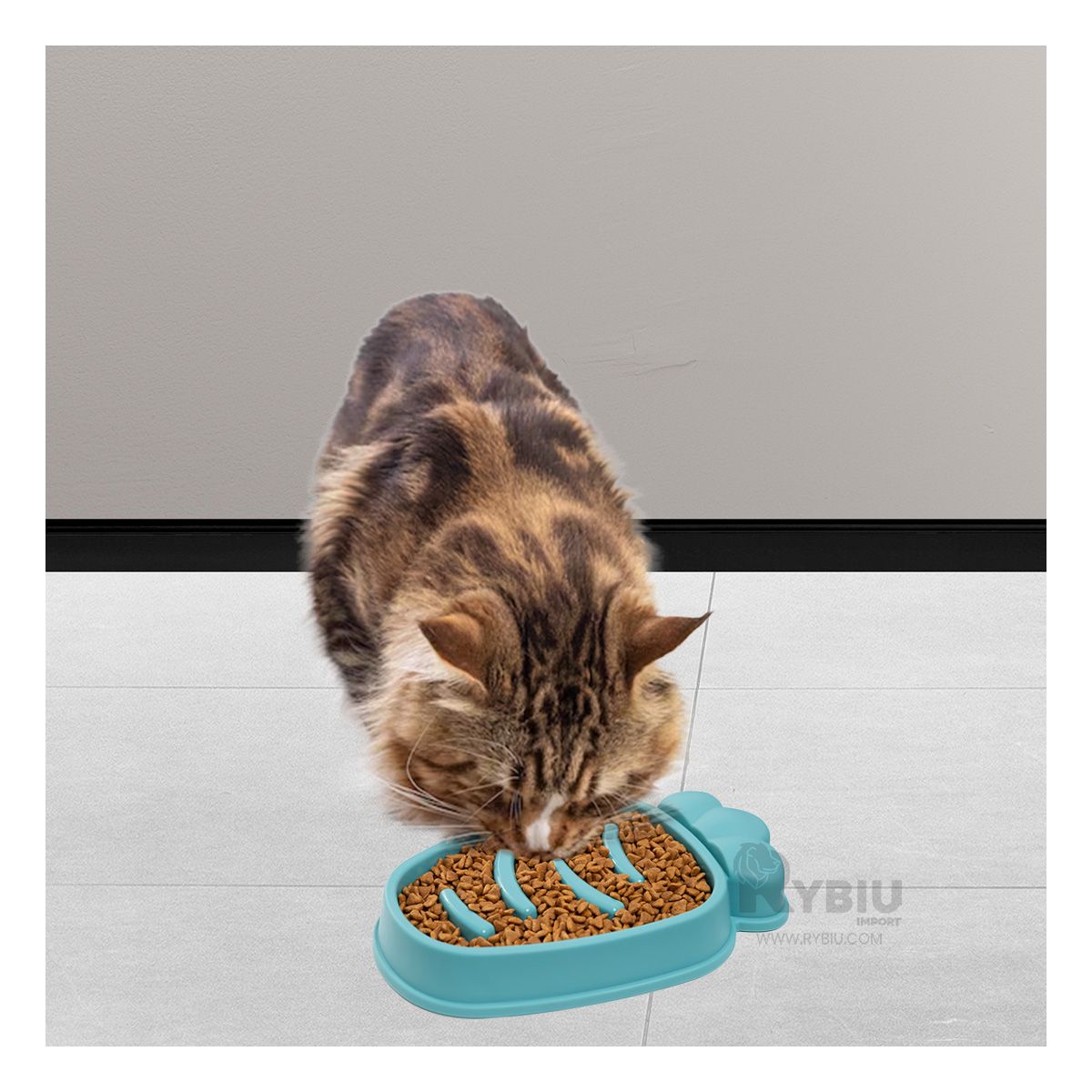 RYBIU IMPORT - Platillo de Diseño Zanahoria Tono Verde Y+Post-it Adhesivos