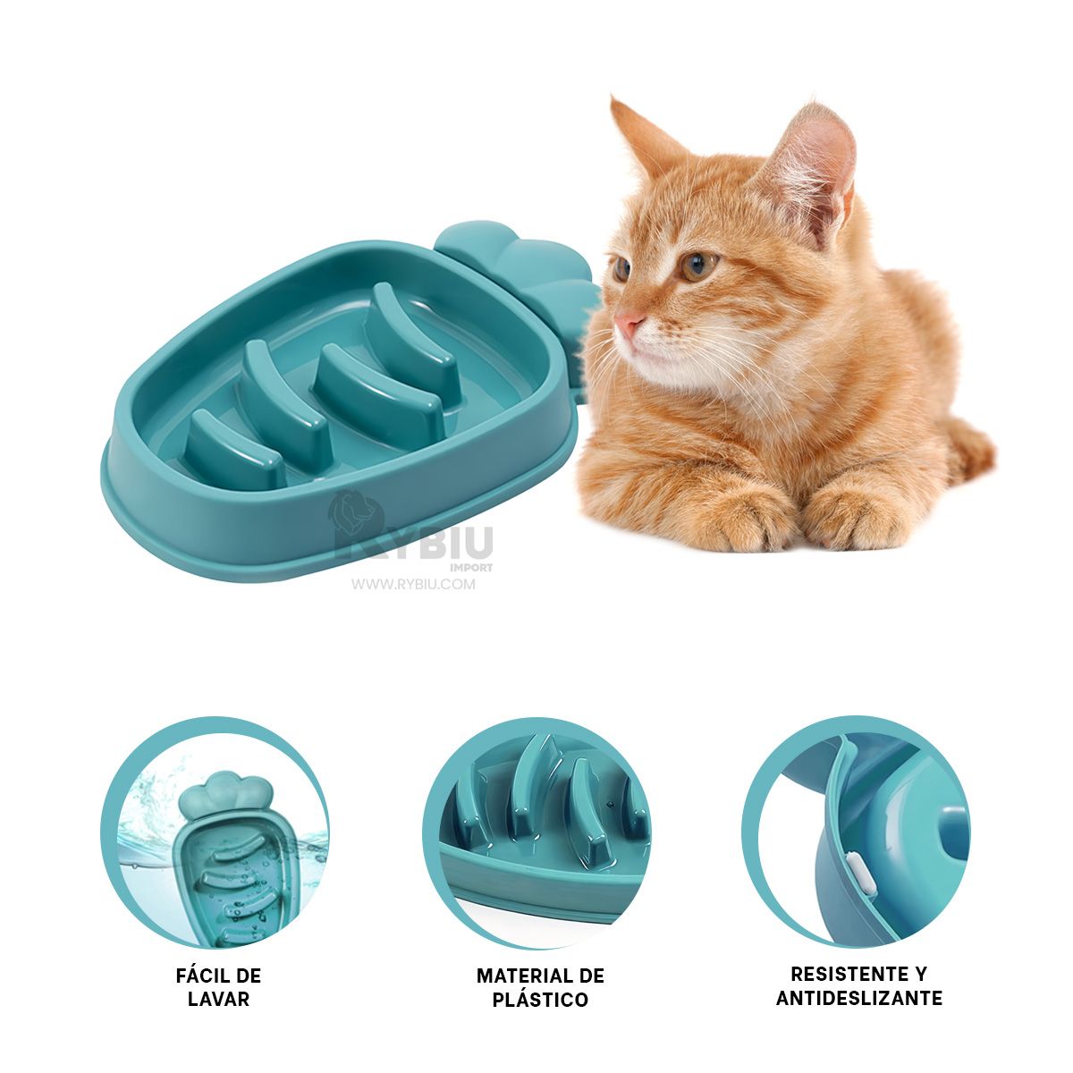 RYBIU IMPORT - Platillo de Diseño Zanahoria Tono Verde Y+Post-it Adhesivos