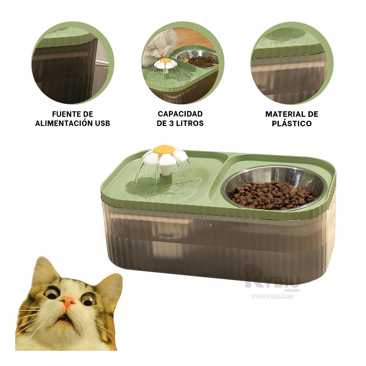 RYBIU IMPORT - Fuente Moderna de Gatos en Verde Y+Regalo Stickers