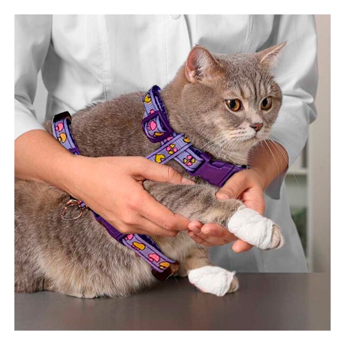 GENERICO - Correa Resistente para Conejo Delgada en Lila Y+Agendita