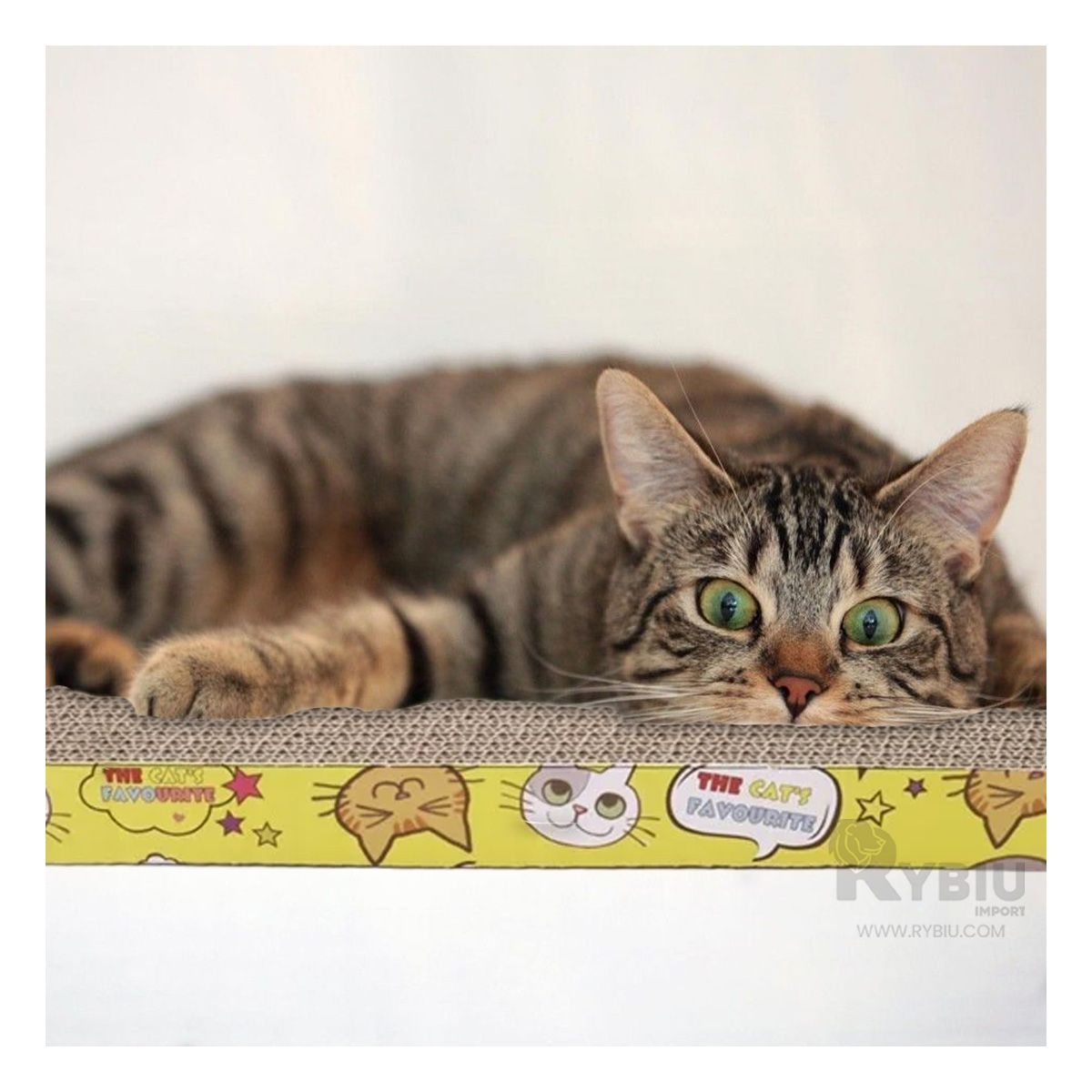 GENERICO - Rascador Pet con Diseño Cuadrado de Carton Y+Papel de Regalo