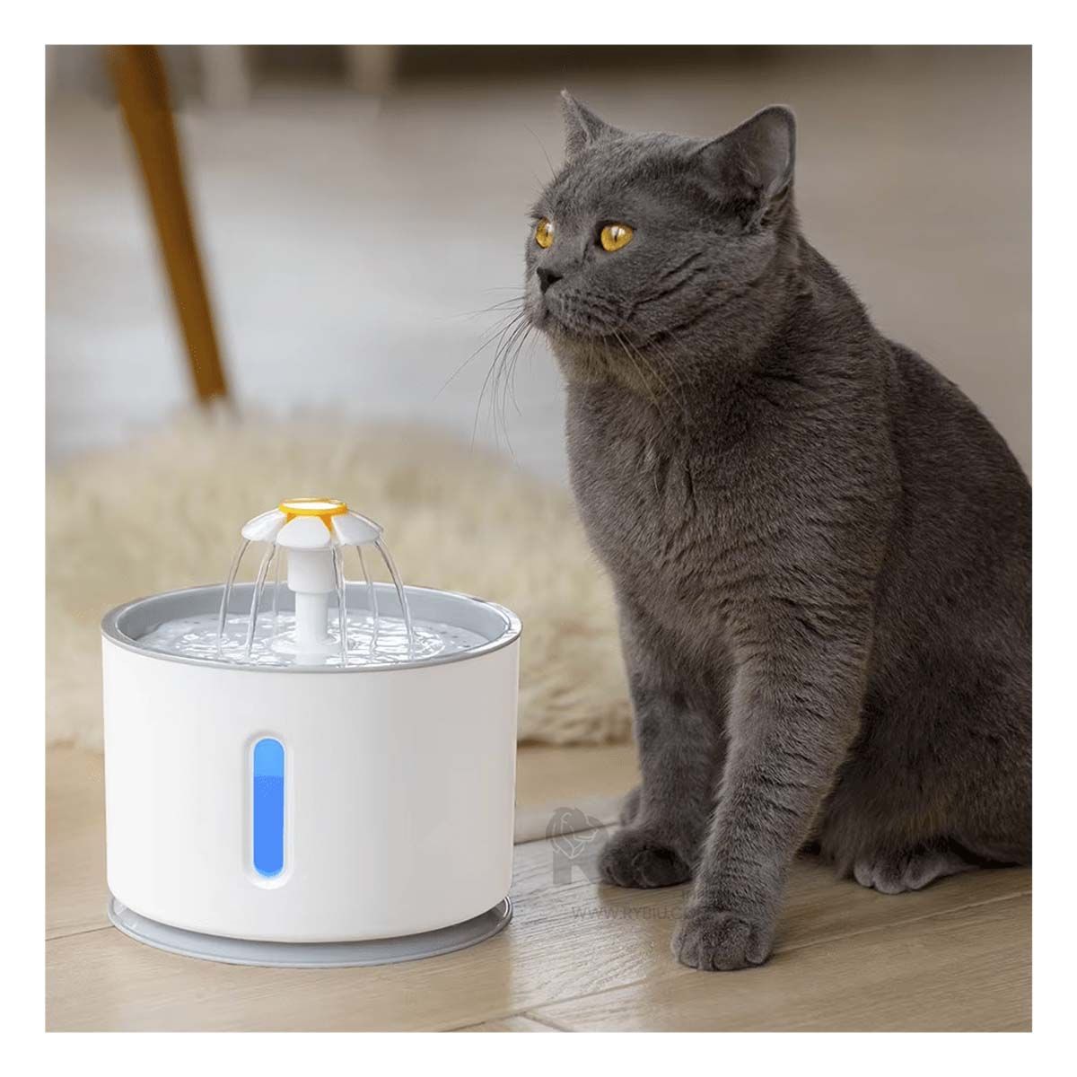 GENERICO - Fuente para Gatos y Perros Blanco Y+Envoltorio de Regalo