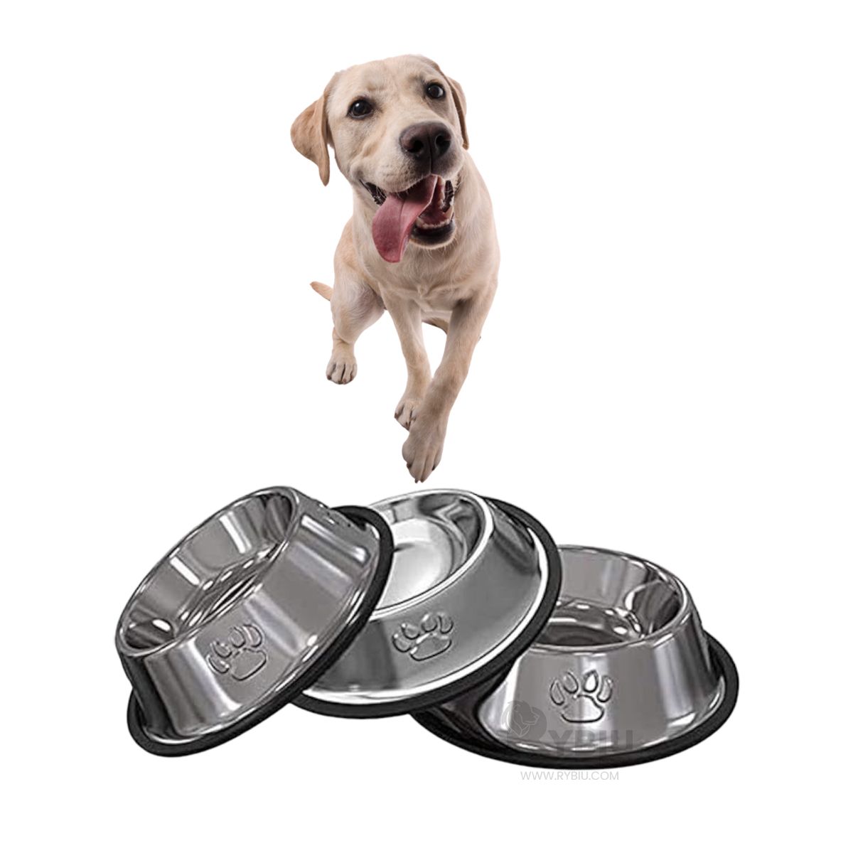 RYBIU IMPORT - Recipiente Seguro Talla XXXL 36 cm Y+Envoltorio de Regalo