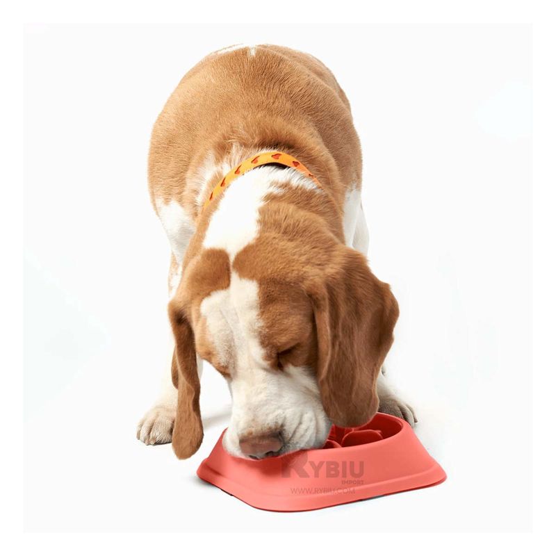 RYBIU IMPORT - Comedero Esencial para Comer de Color Rojo Y+Regalo Agendita
