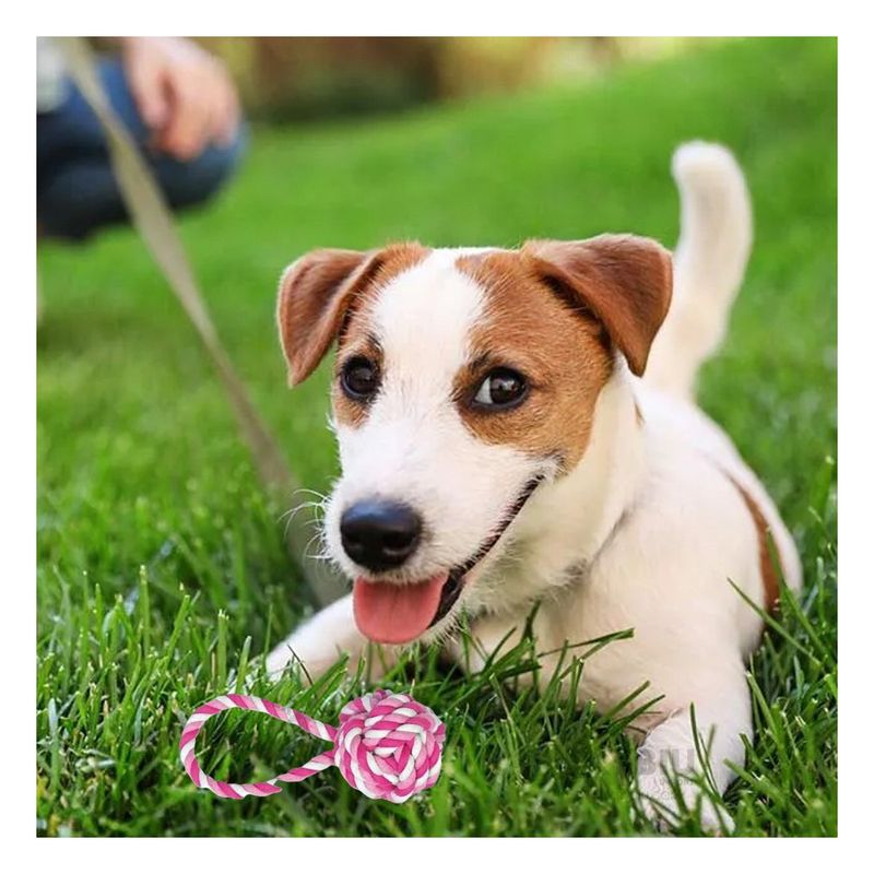 GENERICO - Soga Resistente con Nudo Grande de Perro en Color Rosado