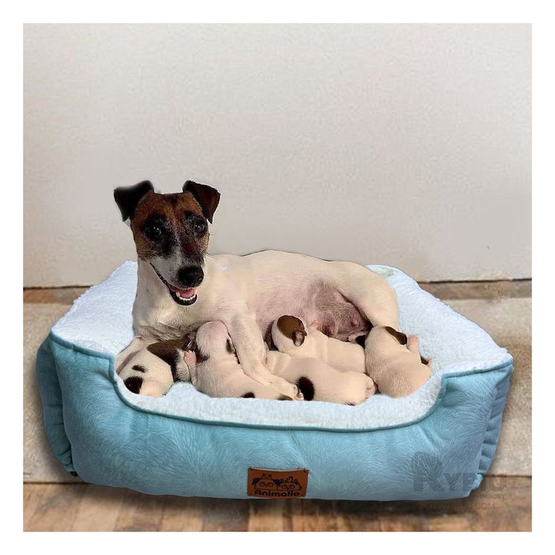 GENERICO - Cama para Perro de Color Verde Hade y Perla Talla S