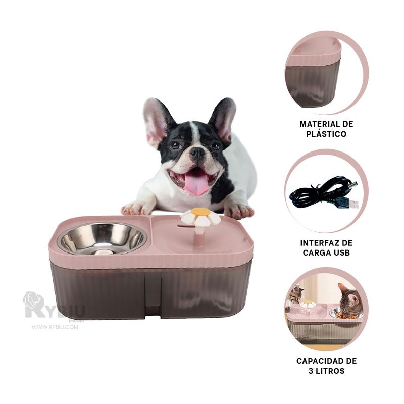 GENERICO - Plato Boble en Rectangulo Pet en Rosado Y+Ligas de Regalo