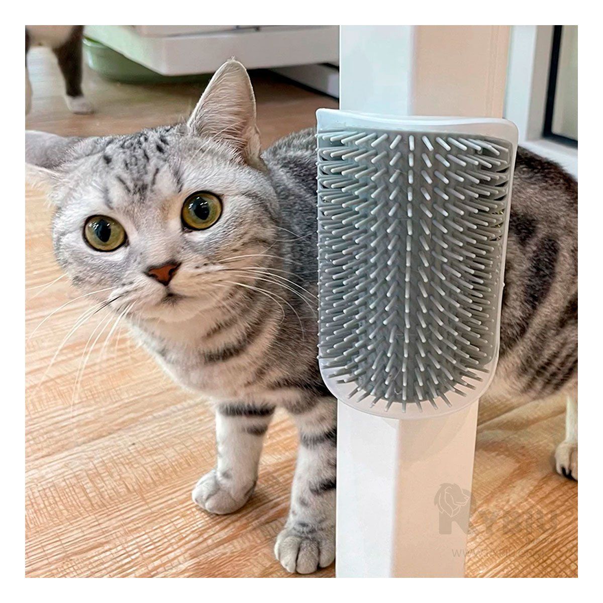 GENERICO - Frotador para Pelusa de Color Gris Y+Post-it Adhesivos