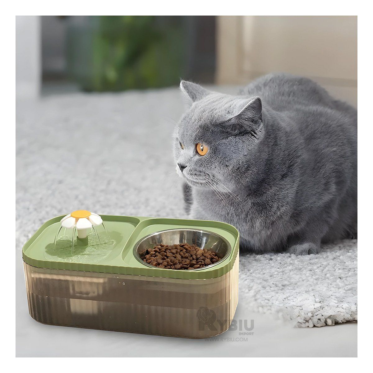 GENERICO - Dispensador Doble Comida y Agua Gato Verde Y+Regalo Stickers