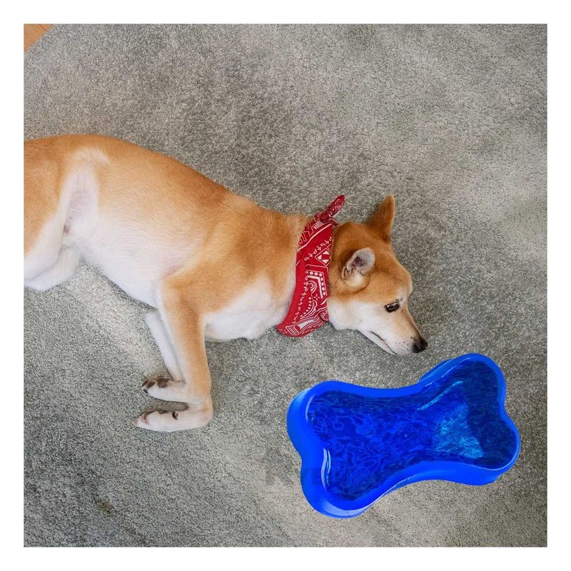 GENERICO - Bandeja Funcional de Color Tono Azul Y+Post-it Adhesivos