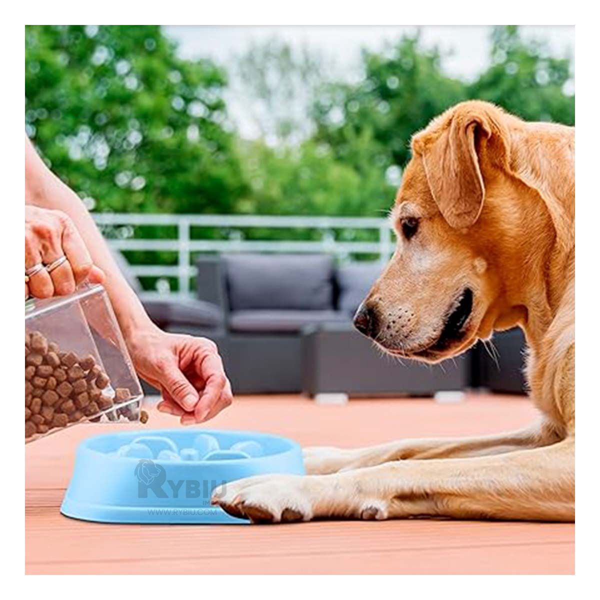 GENERICO - Comedero Util Funcional Pet Color Celeste Y+Gift MiniAgenda