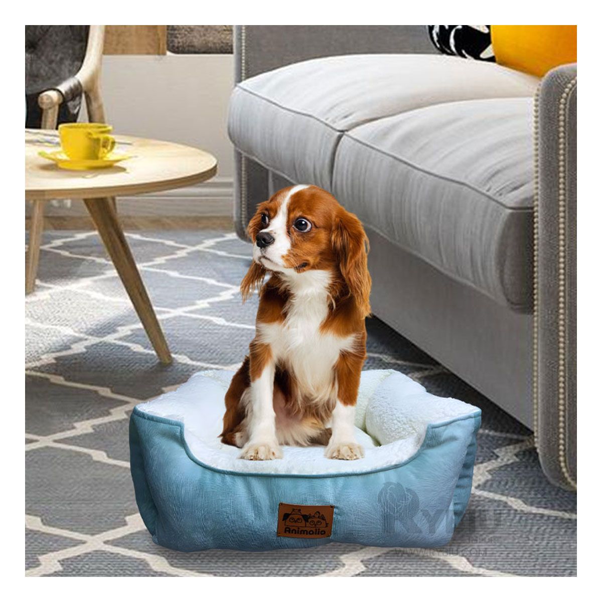 GENERICO - Cama de Perritos Tono Verde y Perla en S Y+Papel de Regalo