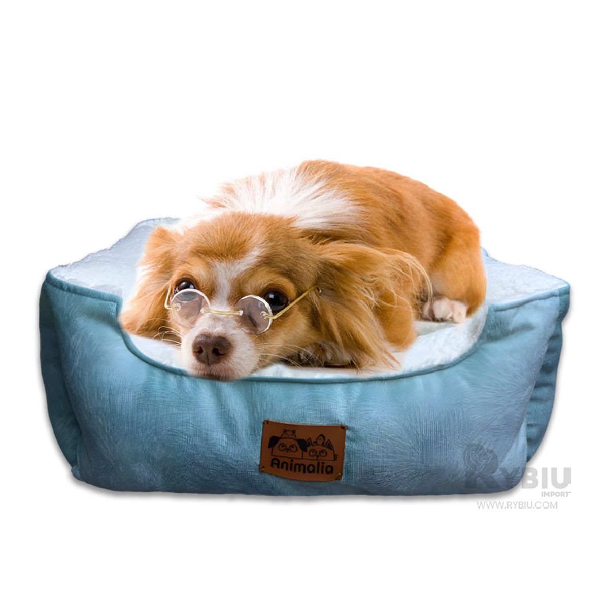 GENERICO - Camita Util en Verde Hade y Perla en S Y+Post-it Adhesivos