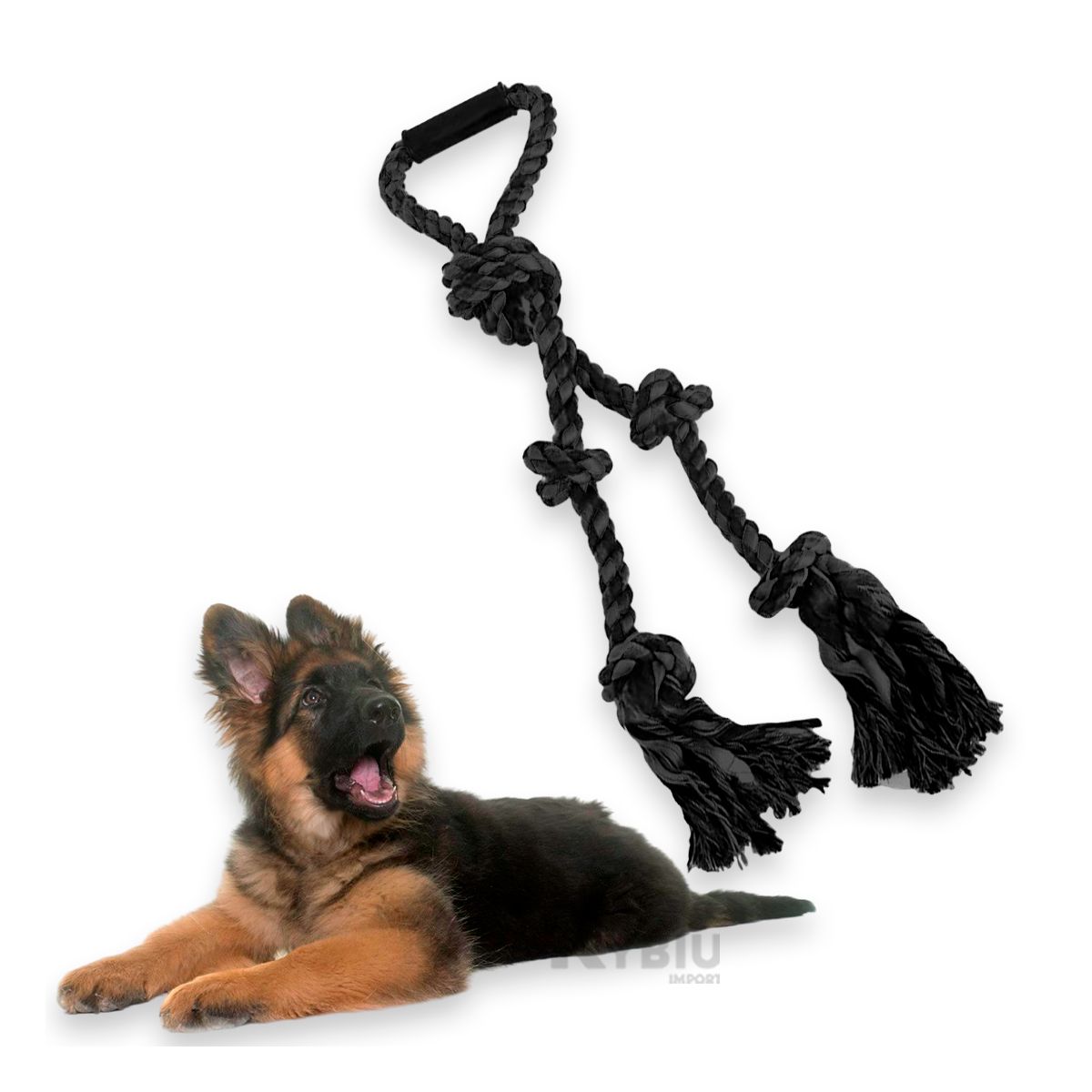GENERICO - Cuerda Ergonomica para Perro Pequeño Negro Y+Gift MiniAgenda
