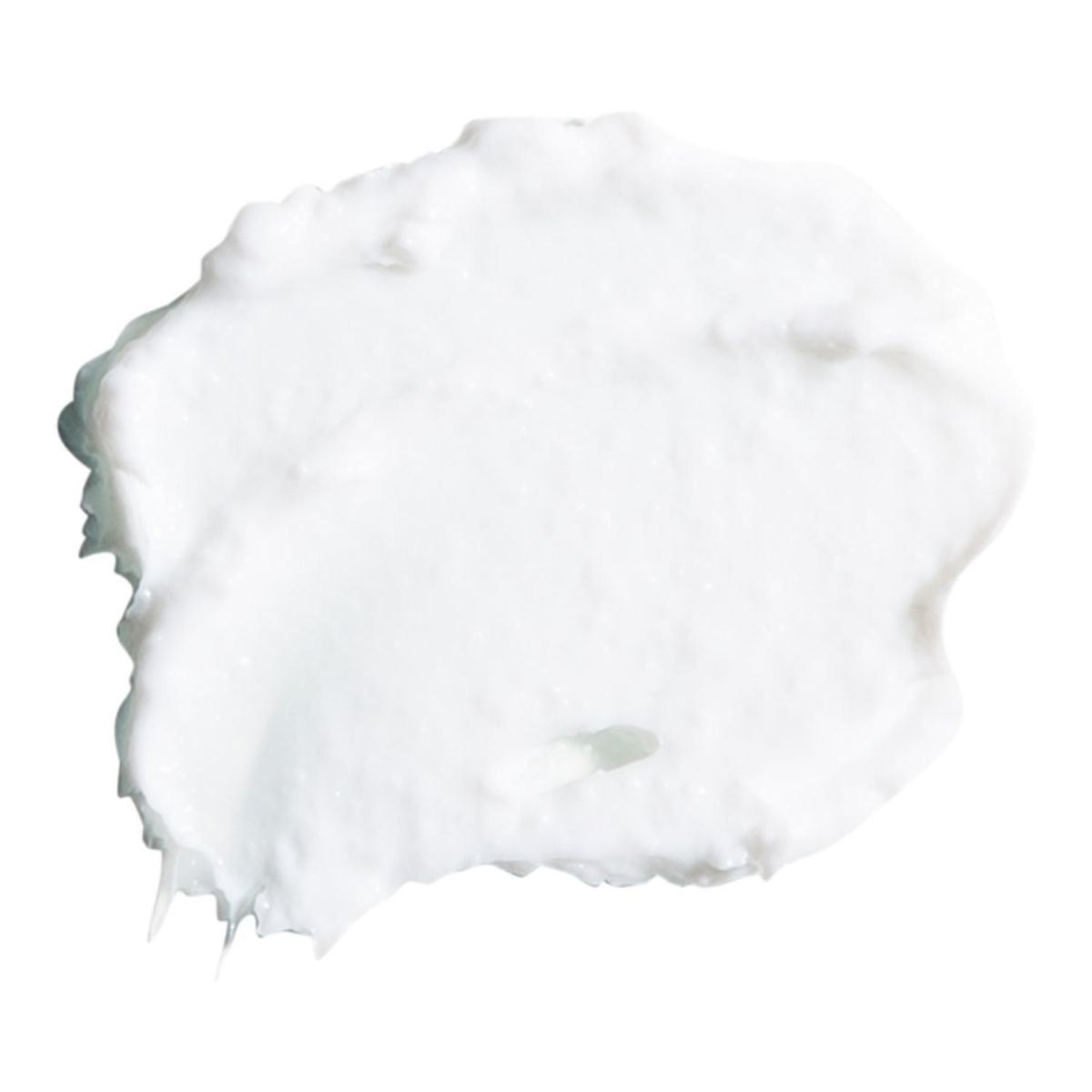 THE ORDINARY - The Ordinary - Crema Hidratante Natural Moisturizing Factors AH x 100 ml