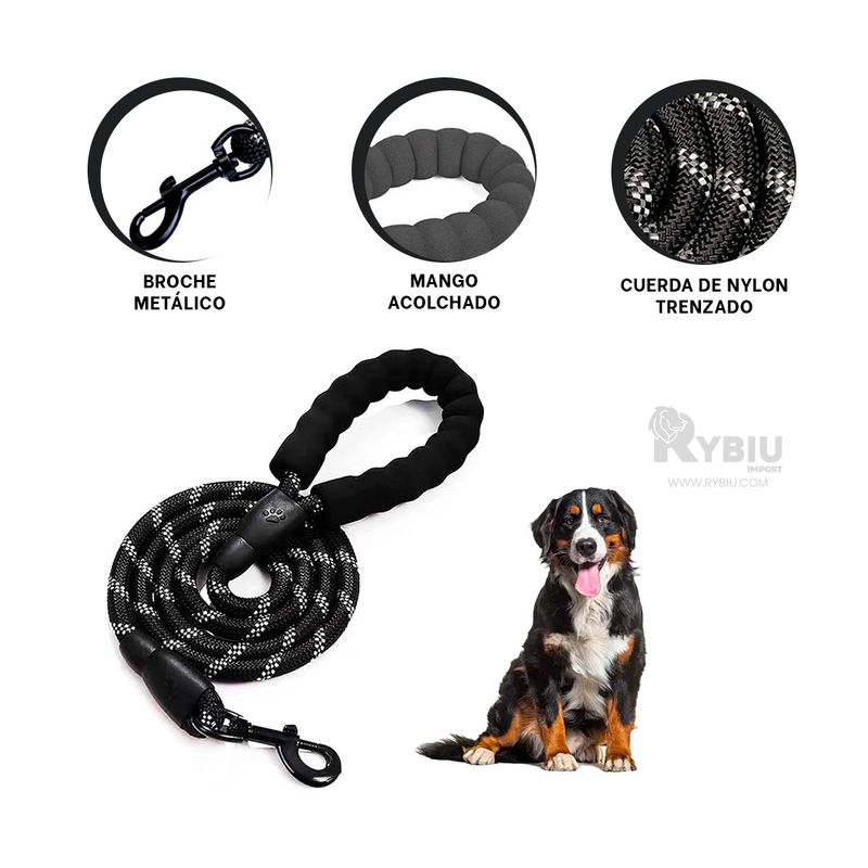 GENERICO - Correa Gruesa Clasica de 12m Negro Y+Banderitas Adhesivas