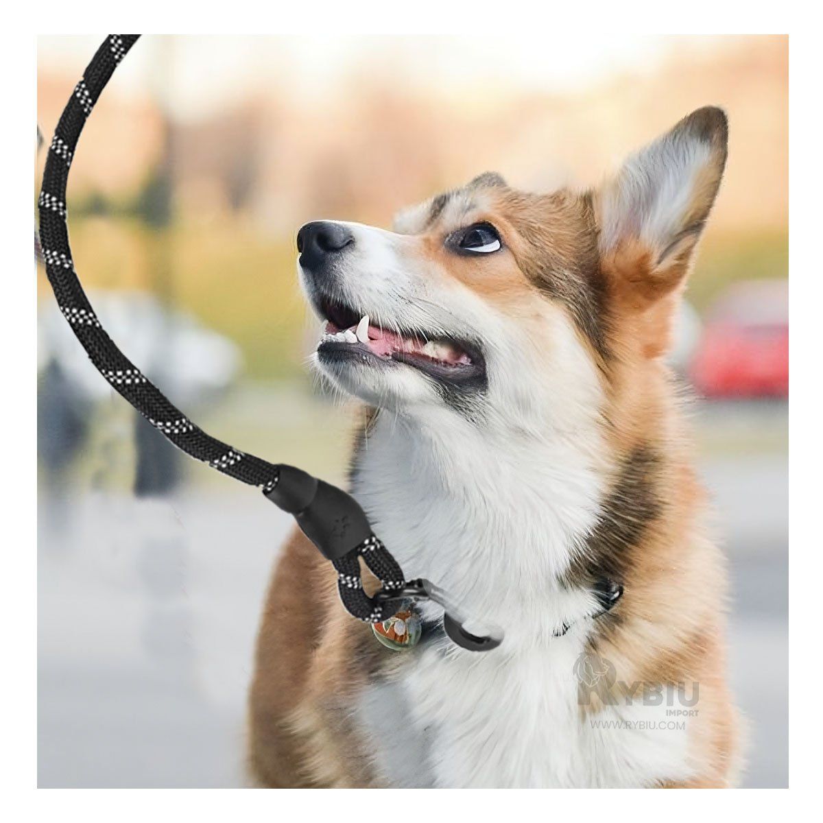 GENERICO - Soga Resistente para Perro Gruesa de 2m de Color Negro