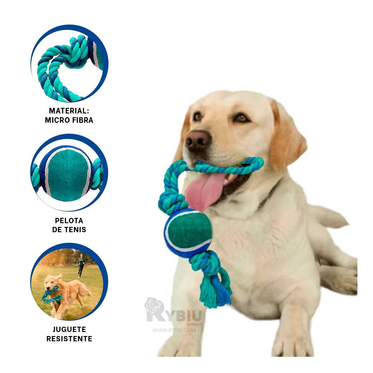 GENERICO - Cuerda para Jalar y Pelota Tennis Azul Y+Gift Stickers