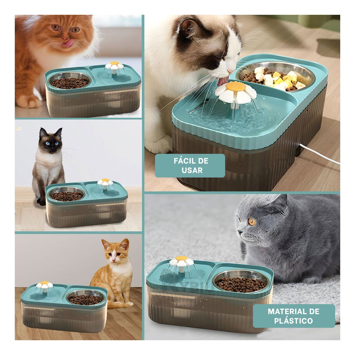 GENERICO - Dispensador Doble Comida y Agua Celeste Y+Regalo Stickers