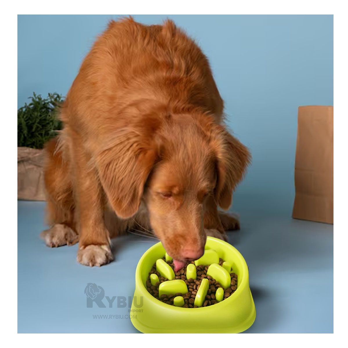 GENERICO - Plato Pet Antiestres Cuadrado Moderno de Color Verde