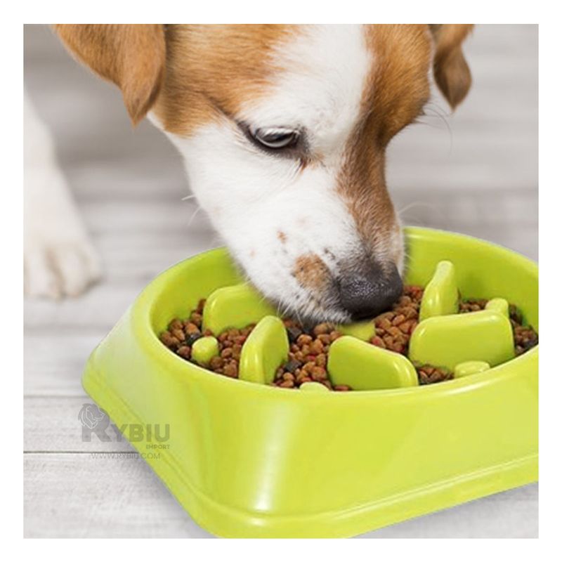 GENERICO - Plato Compacto para Perro de Color Verde Y+Papel de Regalo
