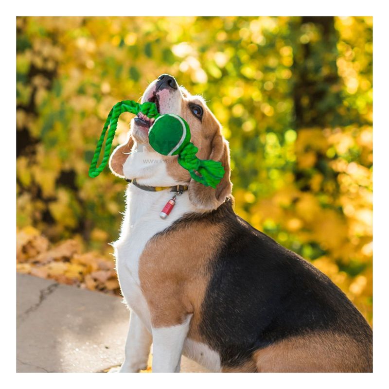 GENERICO - Soga y Balon de Perro en Color Verde Y+Regalo Agendita