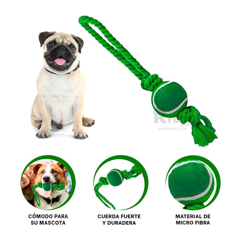 GENERICO - Cuerda Nailon de Perro Verde Y+Envoltorio de Regalo