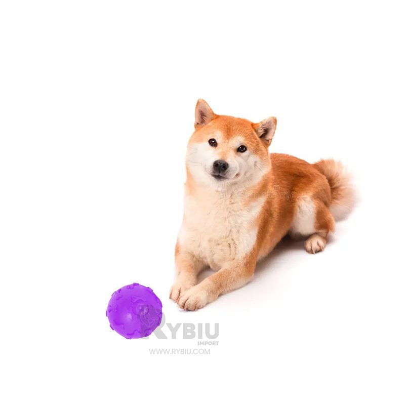 GENERICO - Bola Anti Sarro Canina en Color Morado Y+Gift Stickers