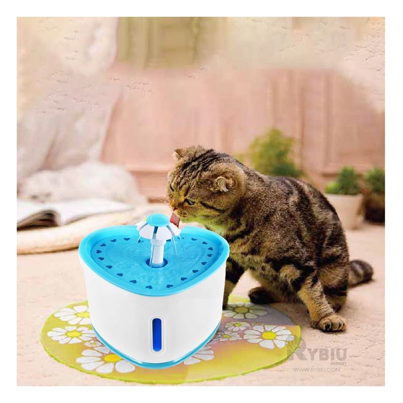 GENERICO - Fuente Compacta de Color Celeste Y+Papel de Regalo