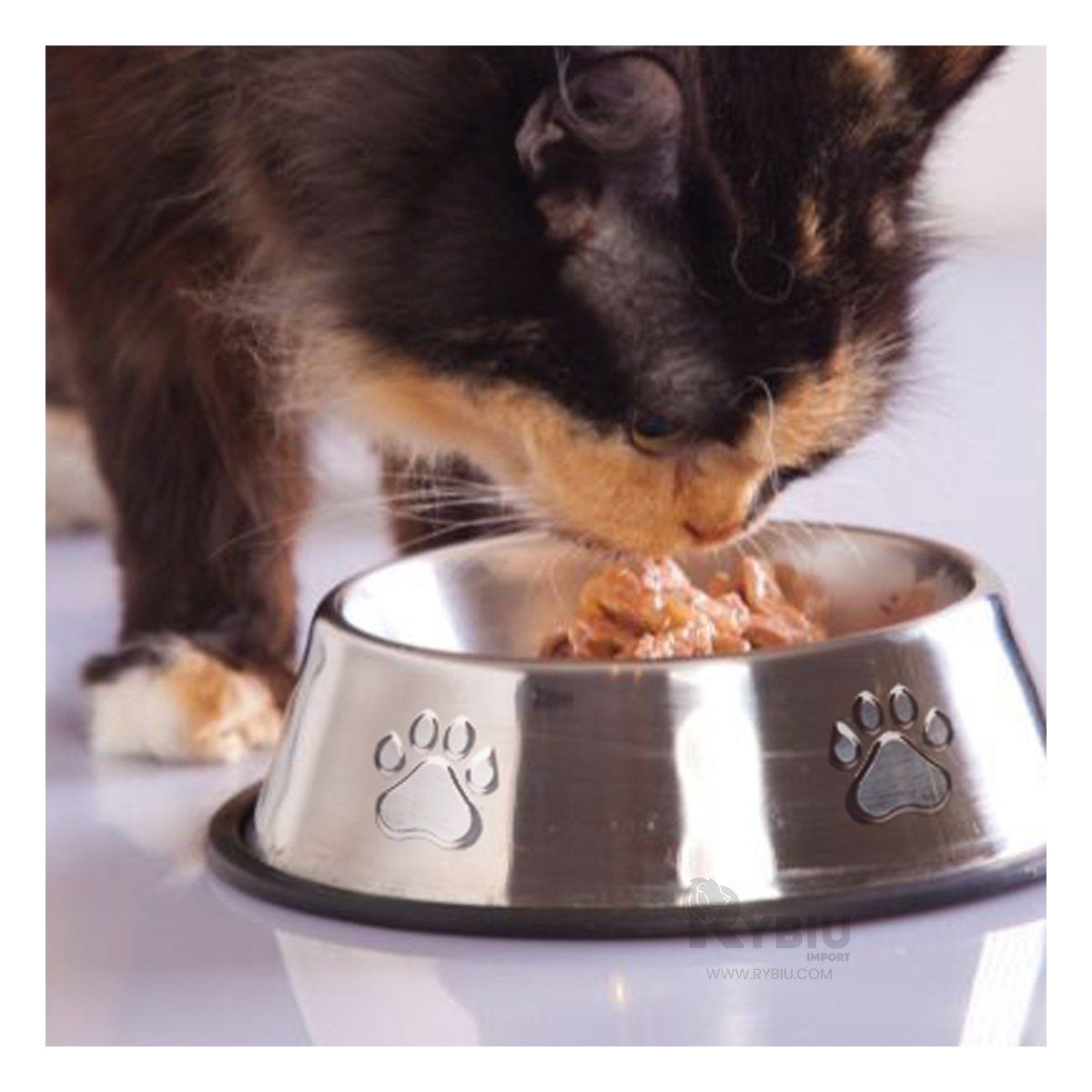 RYBIU IMPORT - Plato Util para Razas Grandes en Talla XS Y+Regalo Stickers