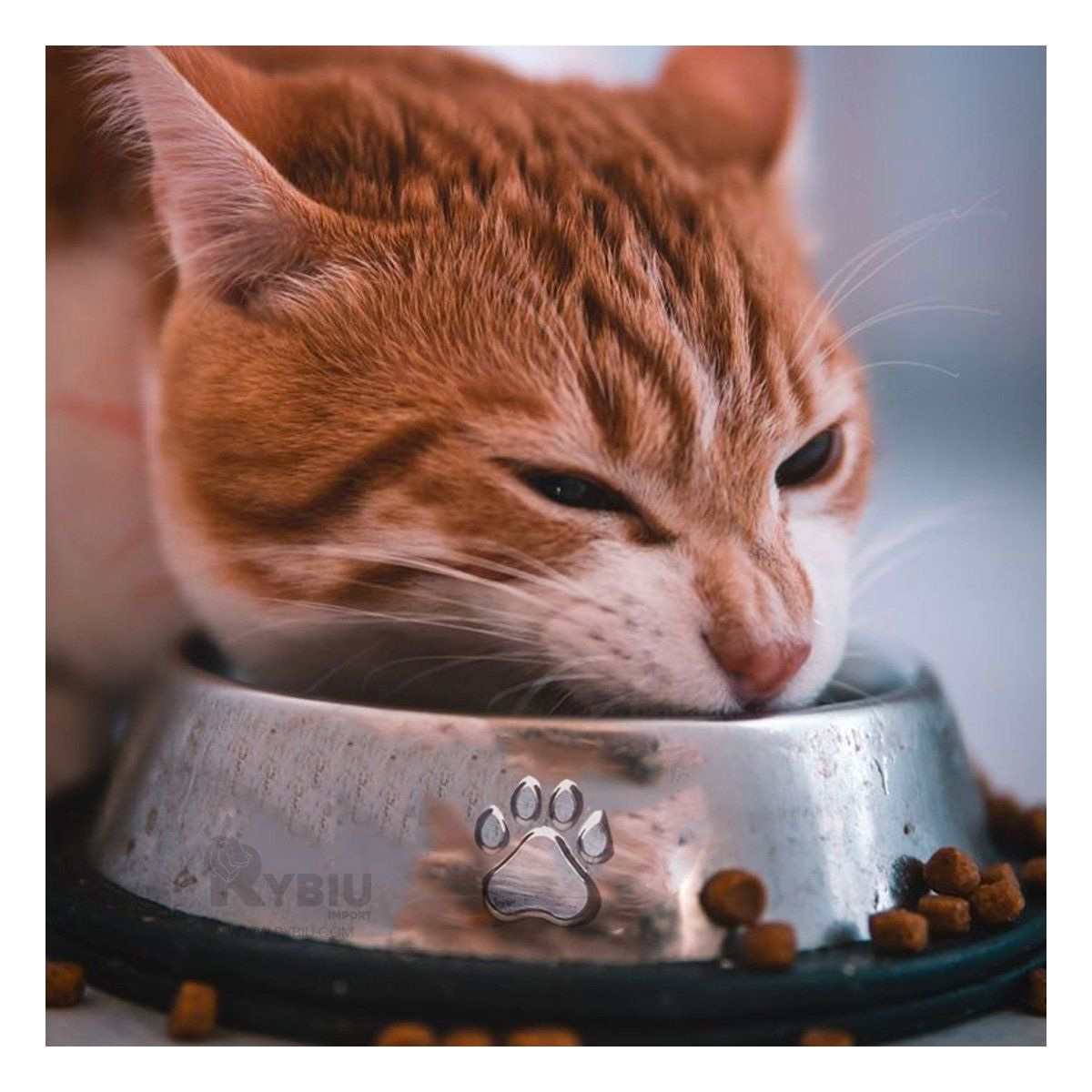 RYBIU IMPORT - Recipiente de Uso Perruno en Talla XS Y+Gift MiniAgenda