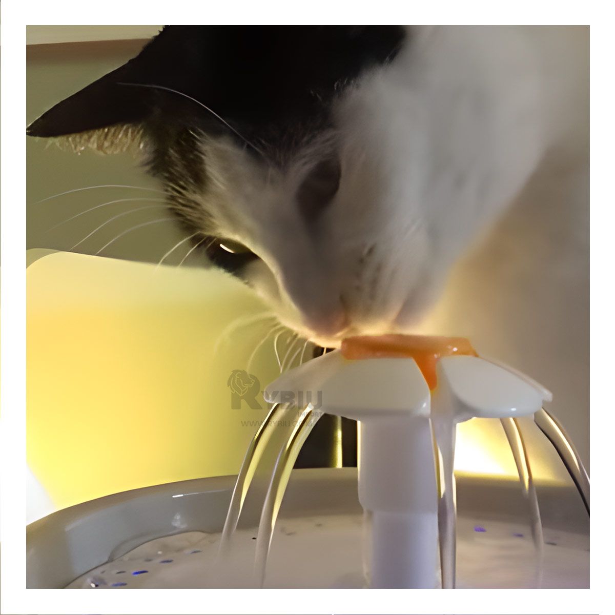 GENERICO - Fuente de Agua Clasica y Funcional de Color Blanco