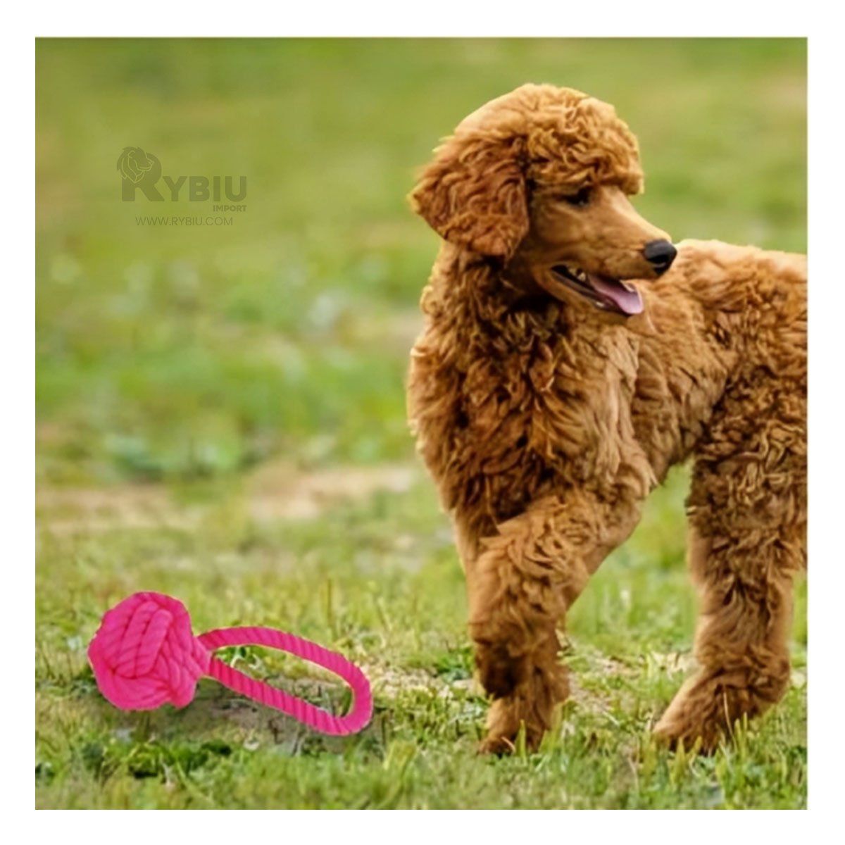 GENERICO - Soga Resistente con Nudo Grande de Perro en Color Fucsia