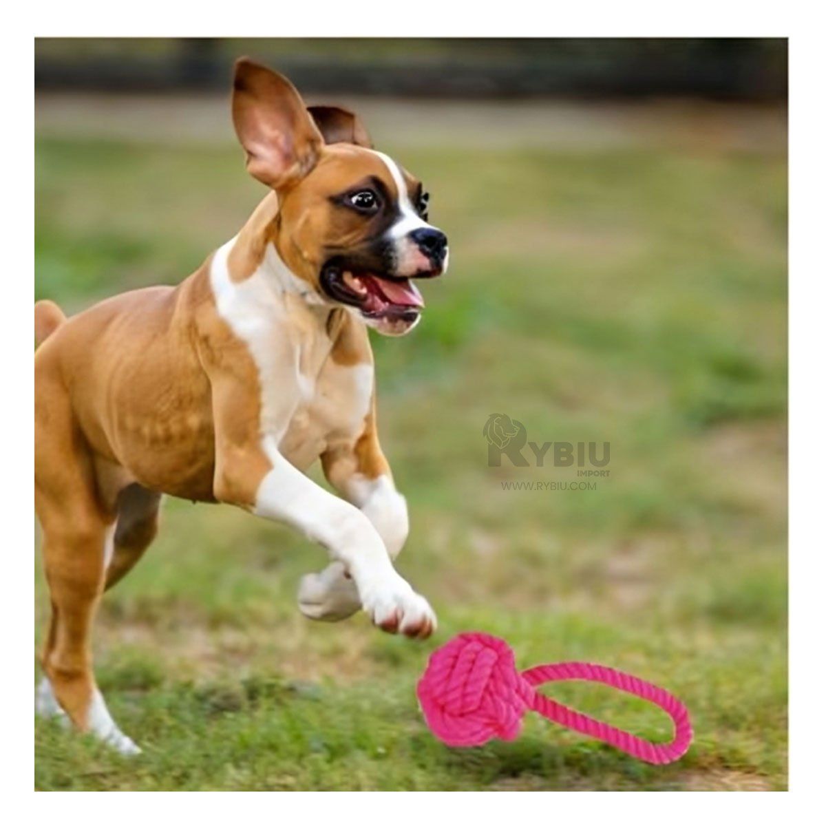 GENERICO - Soga Resistente con Nudo Grande de Perro en Color Fucsia