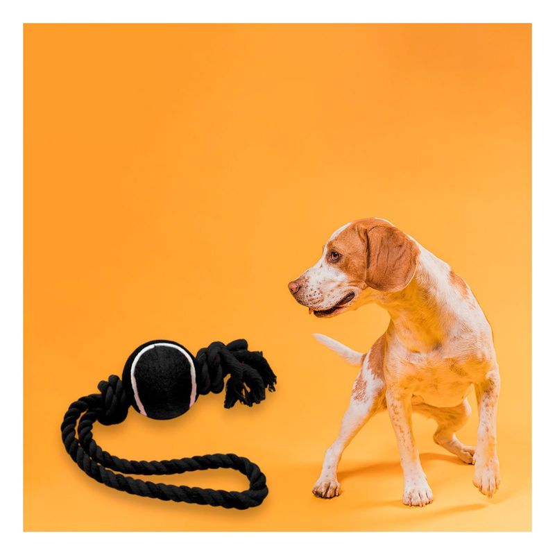 GENERICO - Soga con Nudo y Pelota de Tennis para Mascota Negro