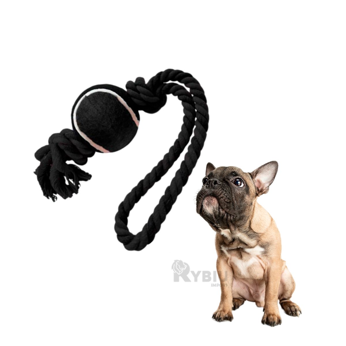 GENERICO - Soga con Nudo y Pelota de Tennis para Mascota Negro