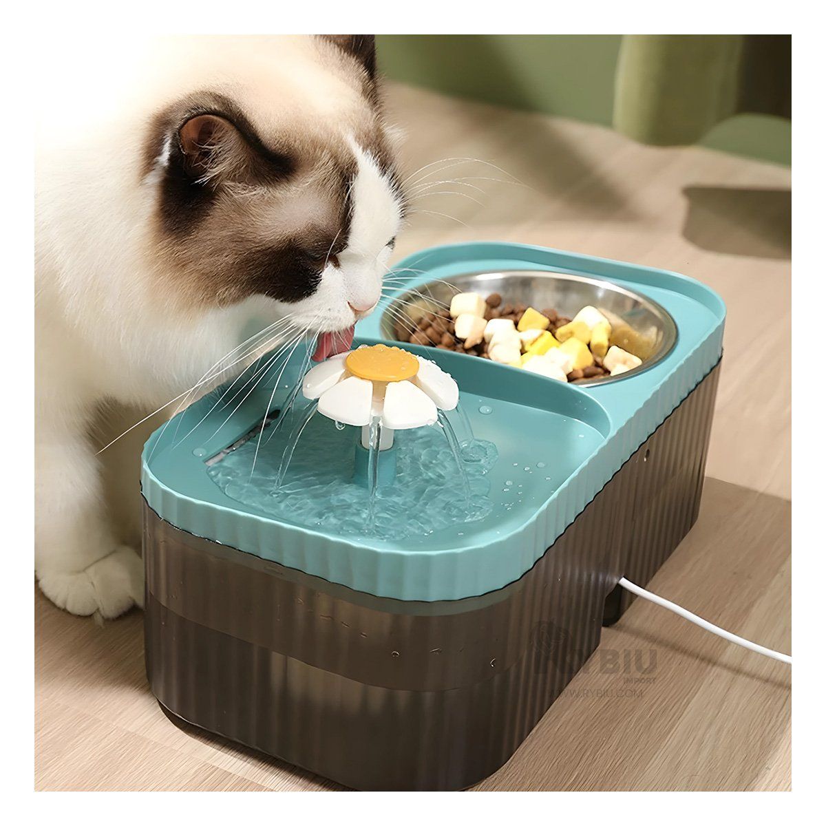 GENERICO - Fuente Moderno de Comida Pet de Celeste Y+Papel de Regalo