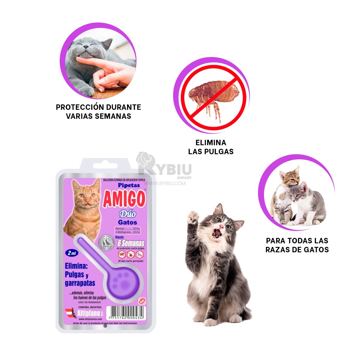 RYBIU IMPORT - Antipulga para Gatos en Color Morado Y+Gift MiniAgenda