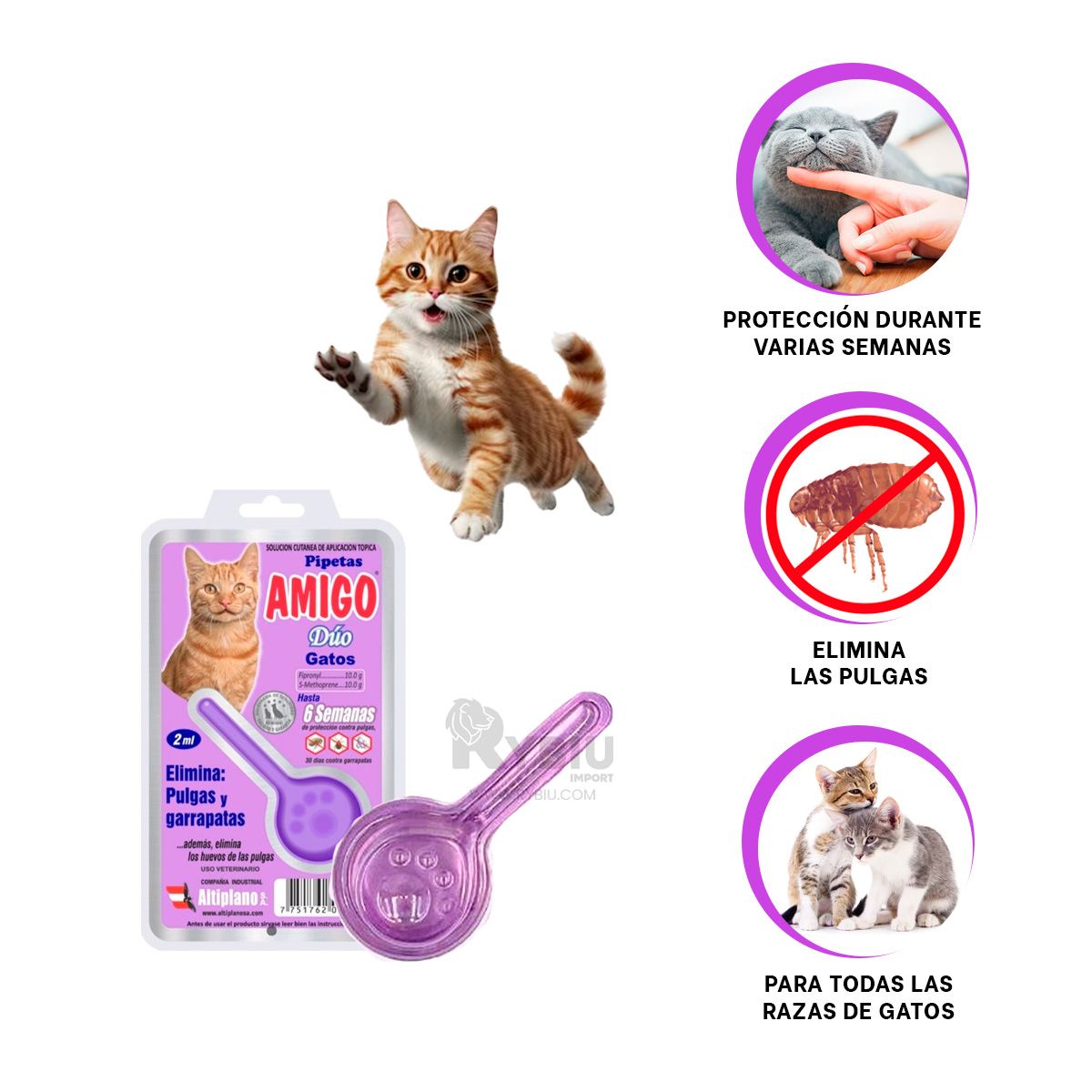 RYBIU IMPORT - Antipulga para Cat en Color Morado Y+Regalo Agendita
