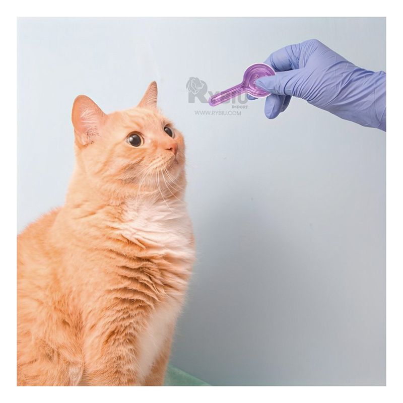 RYBIU IMPORT - Gotero Felino Efectivo en Morado Y+Ligas de Regalo