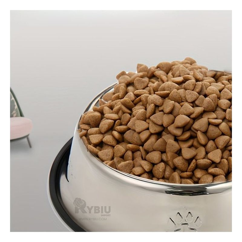 RYBIU IMPORT - Recipiente para Canino Portable de Talla S Y+Gift Stickers